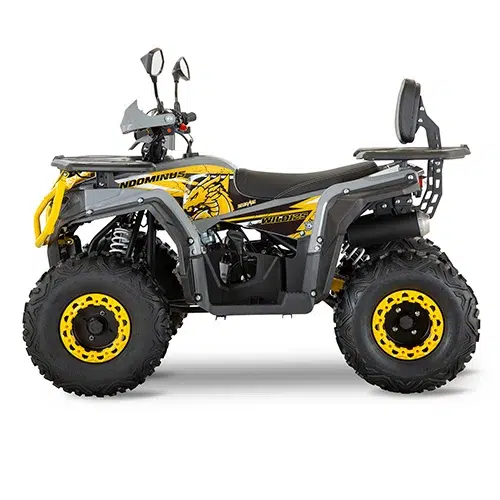 Cuatrimoto Indominus Wild 125